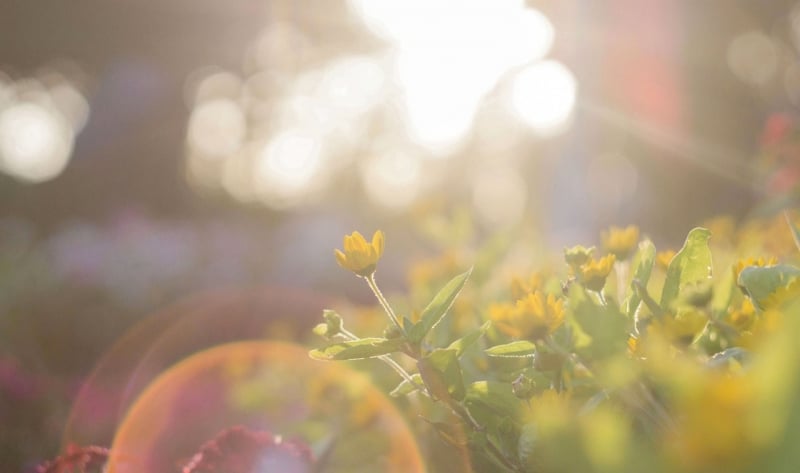 Une fête sous le soleil !